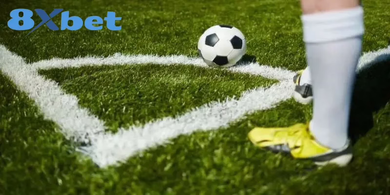 Dự Đoán Tỷ Lệ Kèo C1, Euro, World Cup Chuẩn Cùng 8XBET Dự đoán tỷ lệ kèo 8XBET với nhiều ưu điểm